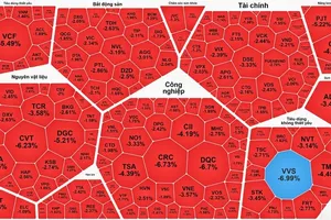 VN-Index周一转跌。