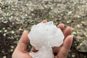 3月30日宣光省出现冰雹。图由居民拍摄分享。