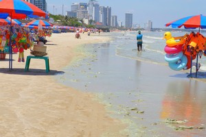 绿色海藻漂浮至头顿海滩。