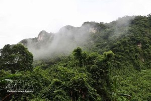 广治省风芽－格邦国家公园核心区一角。