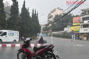 4月11日下午，林同省大勒春香坊阮文追街降倾盆大雨。