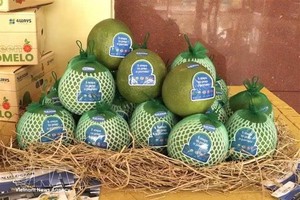 同塔省首批柚子正式出口澳大利亚市场。