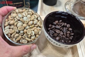 尽管巴西出口量稀少，但咖啡价格仍下跌。