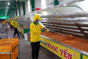 2025年越南小型企业呈现积极增长态势，84%的企业实现增长。