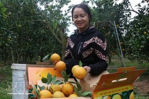 越南仍是美国最大的木制家具供应国，出口额13亿美元。