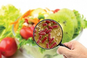 胡志明市有25名学生疑似食物中毒 