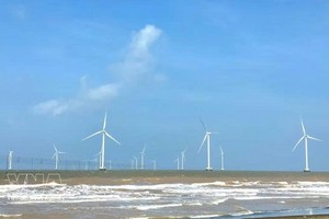 永隆省已投入运行13座风力发电厂，总装机容量达572兆瓦。