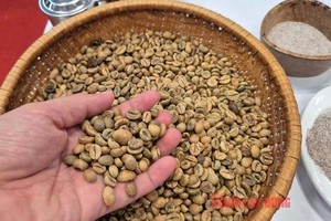 近期咖啡价格大幅下跌。