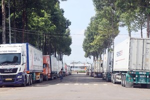 运输榴莲的集装箱车排队等待抽取样本检验出口，造成同奈市油曳车站区域交通拥堵现象。