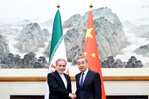 中国外交部长王毅同伊朗外长阿拉格齐会谈。