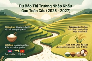 信息来源：美国农业部（USDA）。