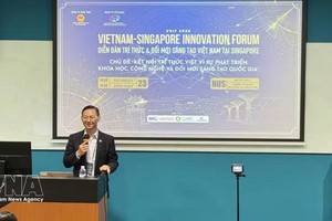 越南驻新加坡大使陈福英在论坛上发言。