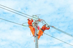 电力人员在高温天气下检查并维护输电线路、预防电网故障，以确保中部民众用电安全、稳定。图：越通社