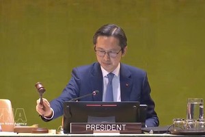 越南常驻联合国代表团团长杜雄越大使宣布会议闭幕。