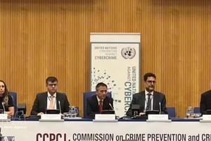 越南外交部法律与国际条约司副司长、越南代表团团长朱俊德在座谈会上发表讲话。