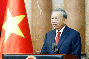 越南党中央总书记、国家主席苏林。