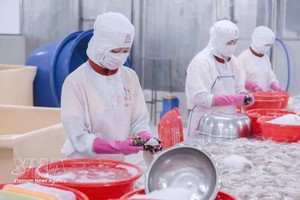 越南水产品积极巩固美国市场份额