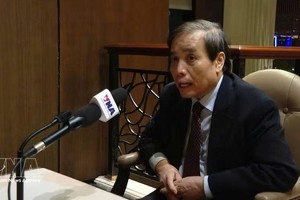 新加坡李光耀公共政策学院武明姜接受越通社记者的采访。