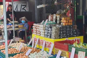 胡志明市新平坊范文白街的一个禽蛋销售区。图：德忠