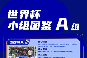 世界杯A组图鉴