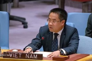 越南常驻联合国代表团副团长阮海刘公使。