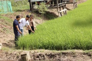 农民们在田间地头互相学习生产经验。