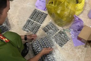 被查获的赃物。（图片来源：越通社）