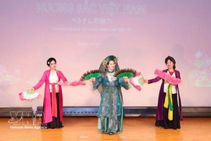 “越南风采”文化艺术交流活动在日本精彩亮相。