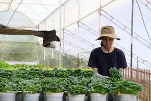 林同省拥有发展良好的高科技农业，生产出许多优质产品。