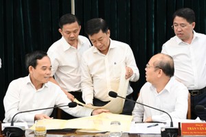 胡志明市市委书记与市人委会及各厅、部门领导直接审阅相关地图、档案、证书和资料。图：越勇