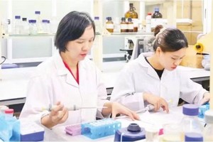 科研人员开展《研究制备纳米荭草苷作为保健食品原料用于辅助预防和治疗糖尿病》的科研项目。图自《人民报》