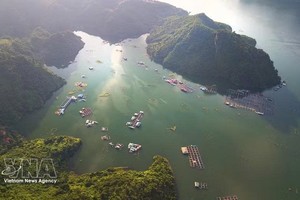 凭着清澈碧绿的湖水与雄伟壮丽的景观，和平水电站水库已成为游客不容错过的目的地。