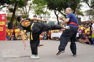 首都河内武术俱乐部的表演节目。