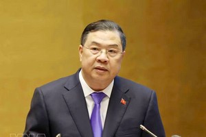 越南政府常务副总理范嘉足在会议上发表讲话。