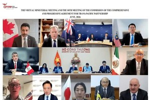 CPTPP各成员国部长及代表出席会议。多边贸易政策司供图。