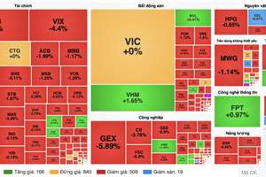 VIC成为焦点，遭外资板块异常净卖出逾2万2500亿元。截图。