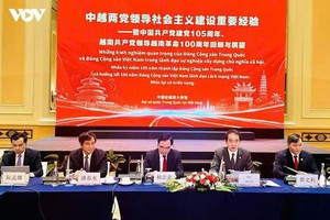 研讨会现场。图自越南之声