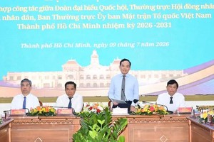 胡志明市市委书记陈留光发表指导讲话。图：越勇