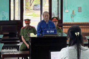 7月9日，顺化市第二地区人民法院一审开庭审理被告人胡文芳心。图自越通社