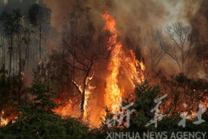 西班牙山火死亡人数升至12人。图源：新华社
