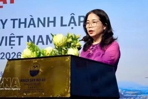 嘉莱省文化体育与旅游厅厅长杜氏妙幸发表讲话。图自越通社