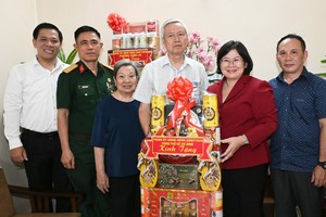 本市领导代表团探望慰抗战活动人士阮富寿。图：越勇