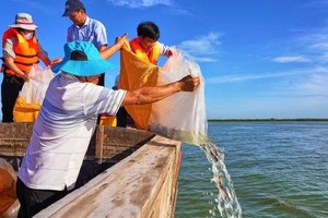 在胡志明市油汀水库放流鱼苗，旨在增殖水生资源、修复生态环境。图：段源