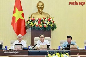 国会主席陈青敏发表讲话。图自越通社