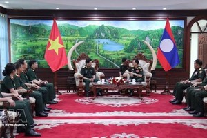 工作会谈现场。图自越通社
