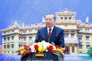 党中央总书记、国家主席苏林出席会议并发表指导性讲话。图自越通社