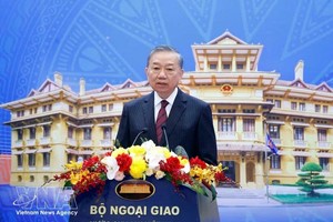 党中央总书记、国家主席苏林出席会议并发表指导讲话。图自越通社