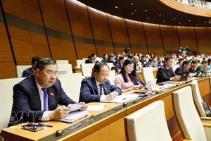 河靖省国会代表团与会。图自越通社