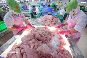 前江Gò Đàng股份公司巴沙鱼出口加工厂。图自越通社