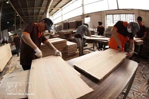 越南木材行业着力构建透明高附加值消费生态系统。